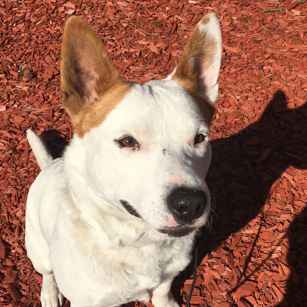 Meet your Posher, Christopher